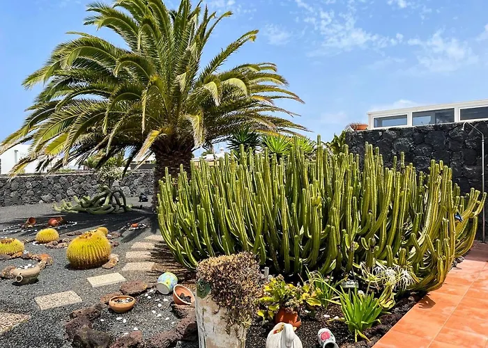 Graciana * 플라야블랑카